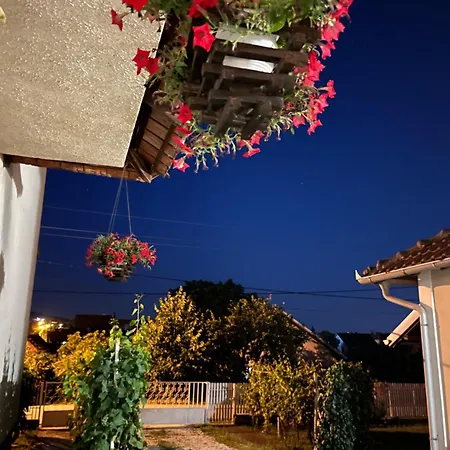 Apartamento Loza House